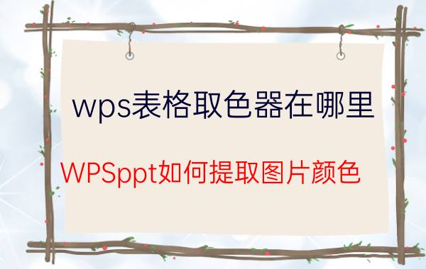 wps表格取色器在哪里 WPSppt如何提取图片颜色？